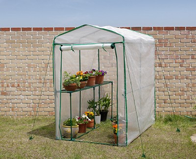 Large greenhouse