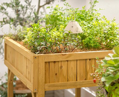 VegTrug Herb Planter