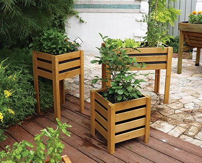 Wood Border Planter