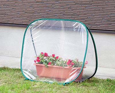 Pop up greenhouse