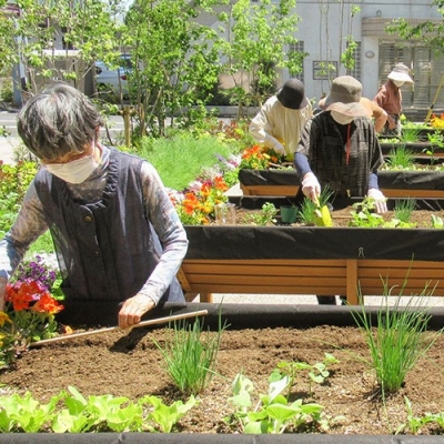 VegTrug Helps Elderly Welfare Organizations